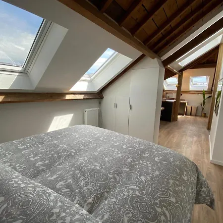 New Urban Appartement